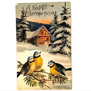 Antique 1908 Embossed Christmas Postcard – Birds & Winter Cottage – Mailed